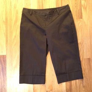 Ann Taylor Petite Capris